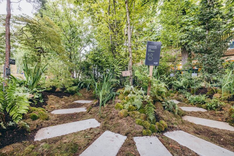 Les noues et merlons absorbent les eaux pluviales sur la parcelle. Crédit : Bouygues Immobilier.