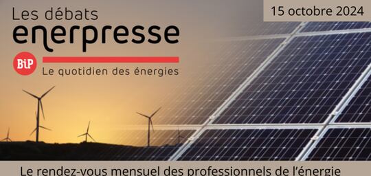 Débats BIP ENERPRESSE Réseaux électriques : Quels investissements pour la montée en charge